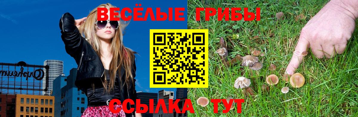 Галлюциногенные грибы GOLDEN TEACHER  Вход с VPN  Заводоуковск  Галлюциногенные грибы мухоморы 